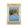 Claus Fett-Alleinfutter IV blau – empfindliche Insektenfresser, 500 g