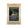Claus Honig-Alleinfutter Ia schwarz – für empfindliche Weichfresser, 500 g