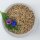 Bird-Box Sperlingspapageienfutter 20 kg