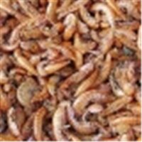 Gammarus getrocknet Inhalt 2 l