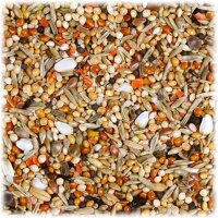 JR Birds Individual Sperlings-Langflügelpapa. 1 kg