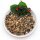 Bird-Box Streufutter 1 kg