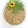 Bird-Box Grassittichfutter 1 kg