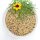 Bird-Box Grassittichfutter 20 kg